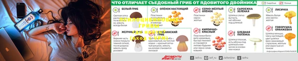 марки lsd Протвино