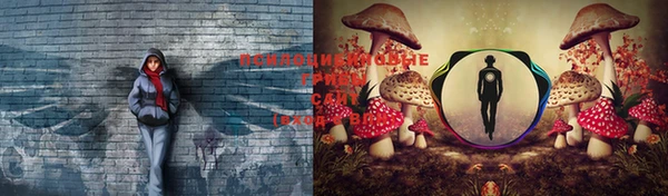МДПВ Магадан