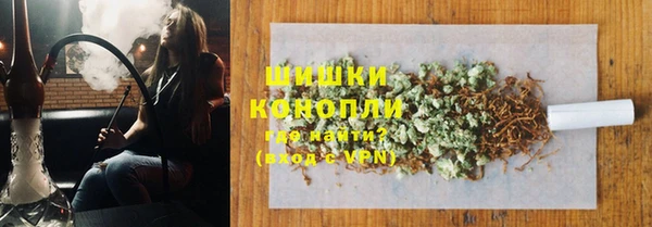 дмт Переславль-Залесский