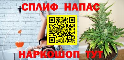 наркотики Камышлов