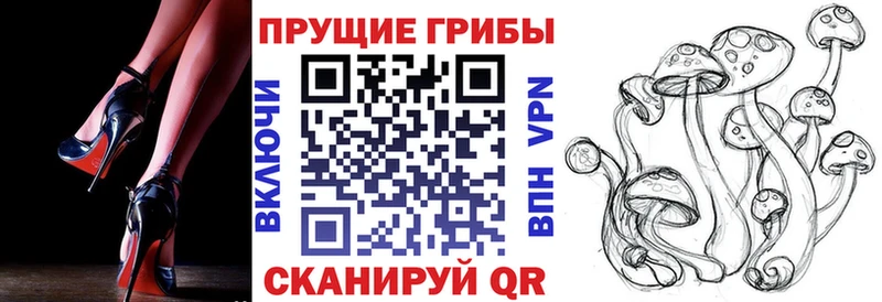 Псилоцибиновые грибы Psilocybine cubensis  Рязань 
